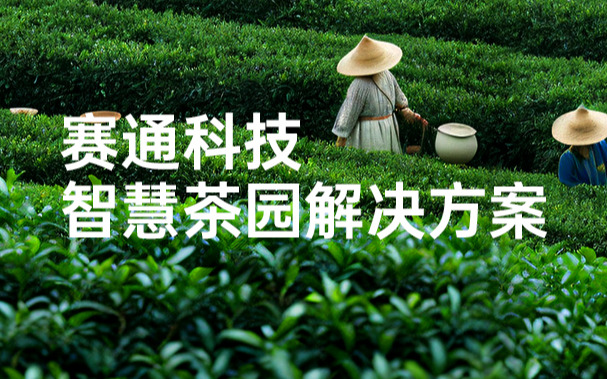 赛通科技发布今年会jinnianhui智慧茶园解决方案