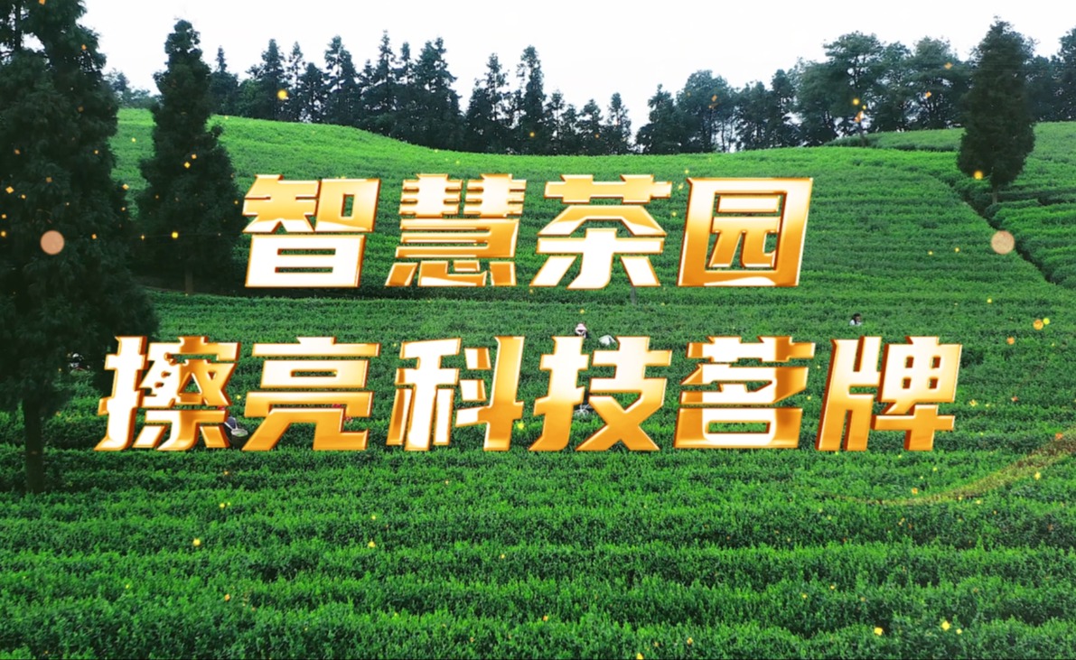 今年会jinnianhui智慧茶园，擦亮科技茗牌